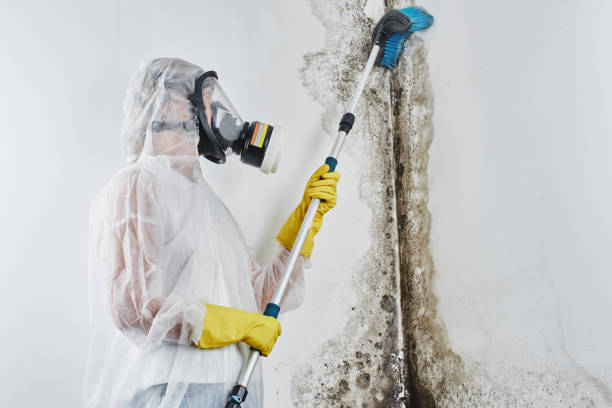 Best Mold Remediation Services  in Kulpsville, PA