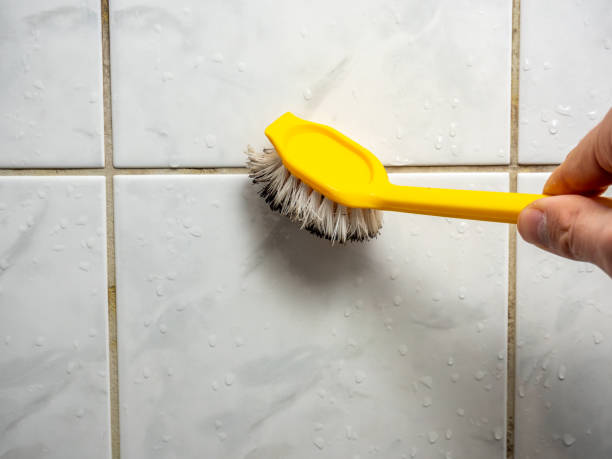 Best Certified Mold Removal  in Kulpsville, PA