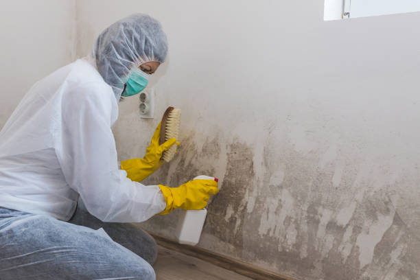 Best Mold Removal Process  in Kulpsville, PA