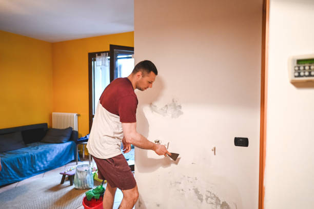 Best Home Mold Removal  in Kulpsville, PA