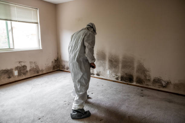 Best Mold Damage Repair  in Kulpsville, PA
